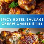 Rotel Spiced Sausage & Cream Cheese Bites Recipe