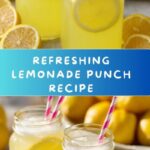 Lemonade Punch Recipe