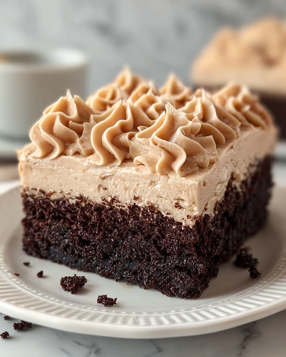 Skinny Chocolate Cake Recipe - Recipe Image