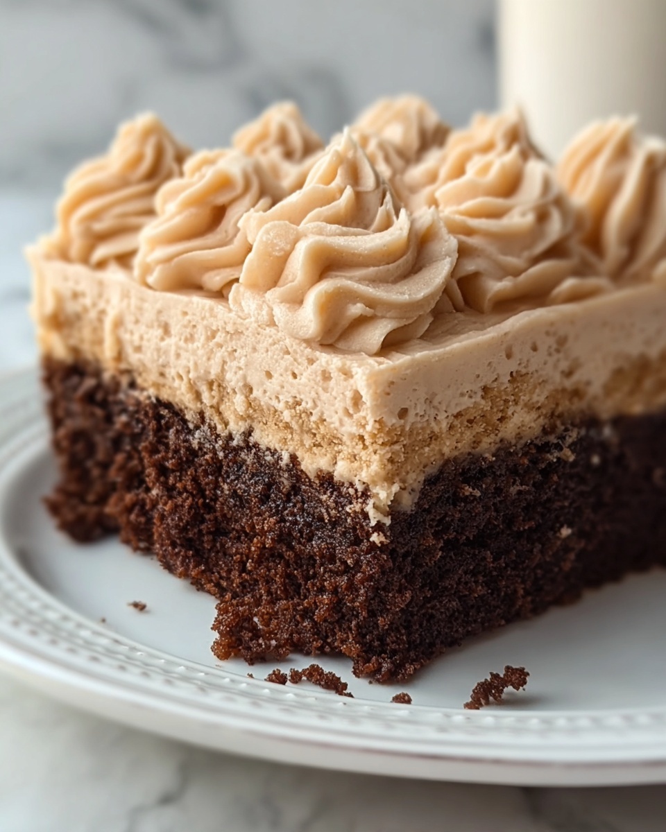 Skinny Chocolate Cake Recipe - Recipe Image