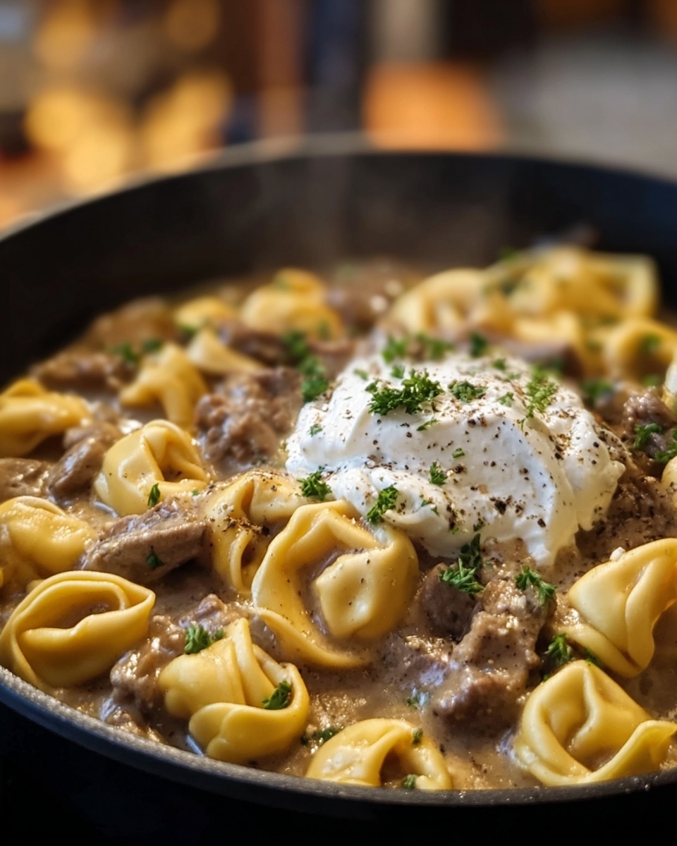 One-Skillet Beef Stroganoff Tortellini Recipe - Recipe Image