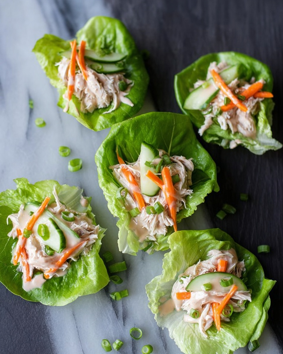 Asian Chicken Lettuce Wraps Recipe - Recipe Image