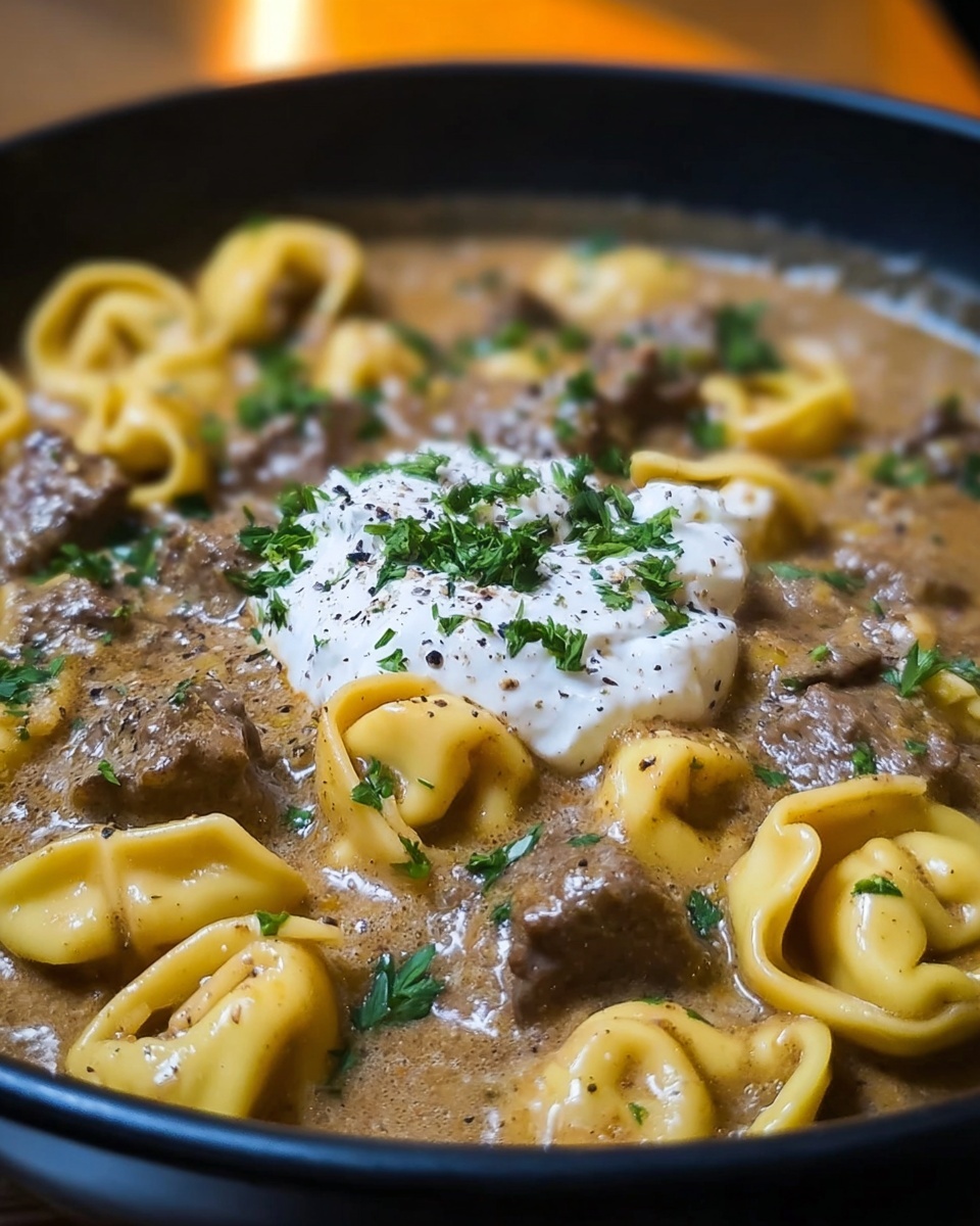 One-Skillet Beef Stroganoff Tortellini Recipe - Recipe Image