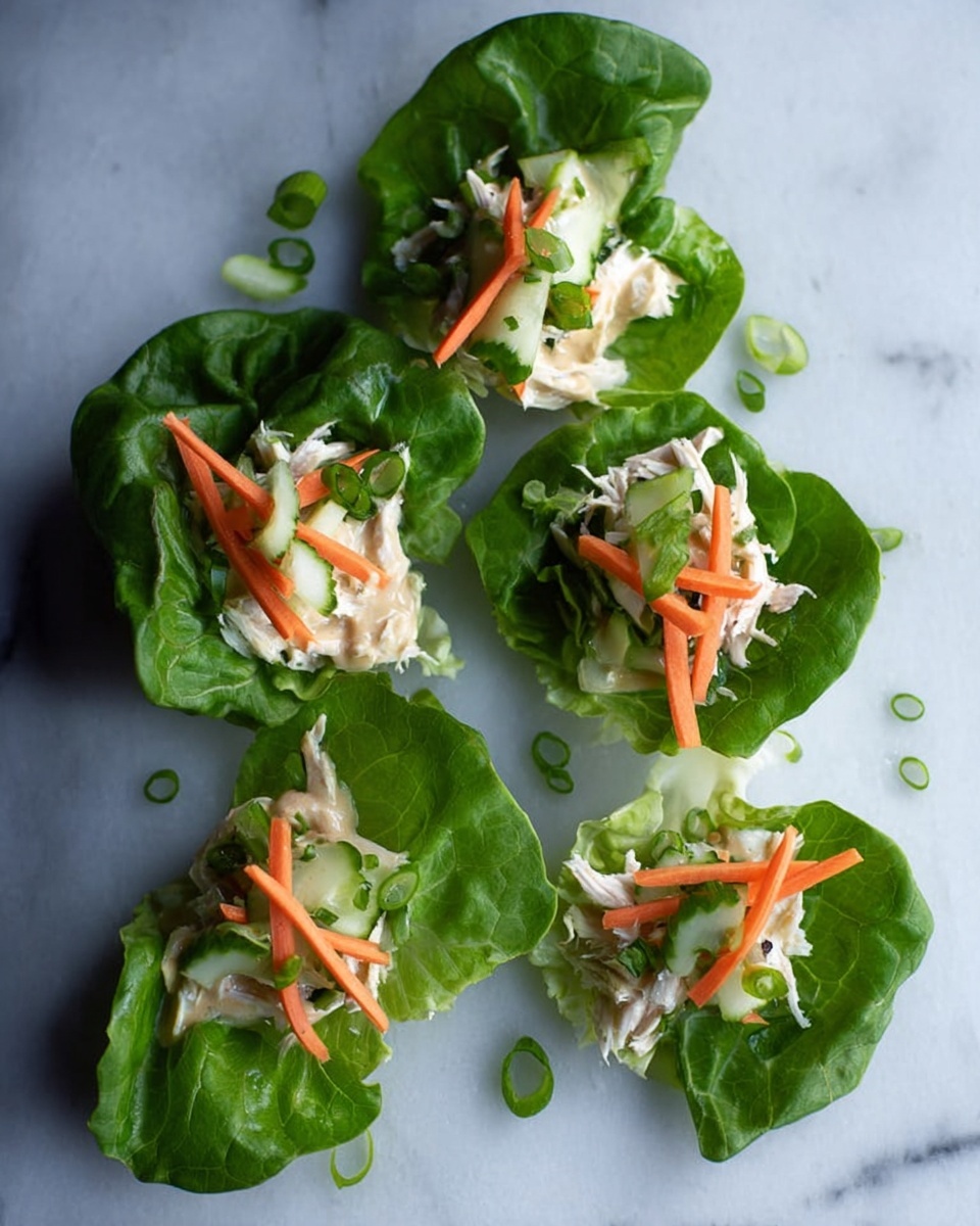 Asian Chicken Lettuce Wraps Recipe - Recipe Image